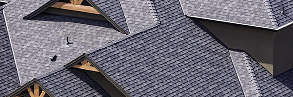 What Are the Best Shingles for Florida Roofs?