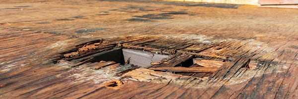 Is Dry Rot In My Roof Dangerous? Here’s What You Need To Know